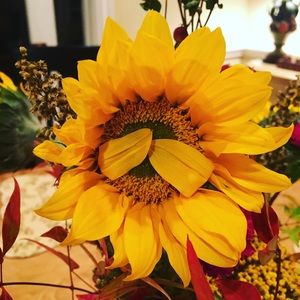 Meet your Posher, Sandi